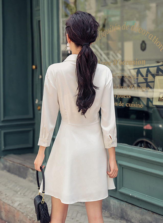 Terisa Sleeved Dress